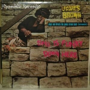 BROWN, JAMES - SHO IS FUNKY DOWN HERE - Hippedelic Records